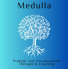 psychosociale therapie