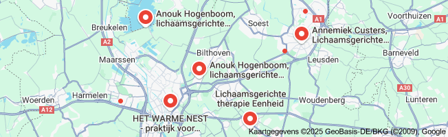 lichaamsgerichte traumatherapie