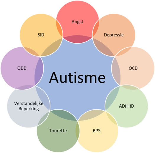 autisme en depressie behandeling