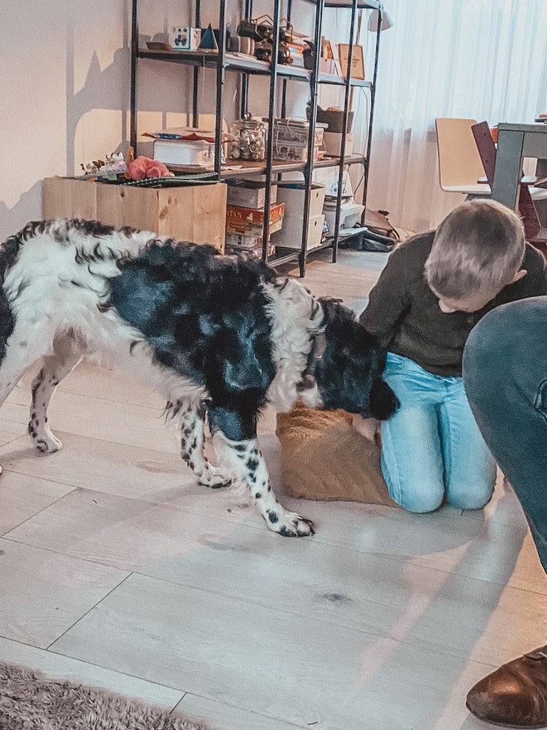 honden angst therapie