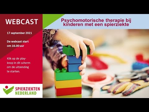 wat is psychomotorische therapie