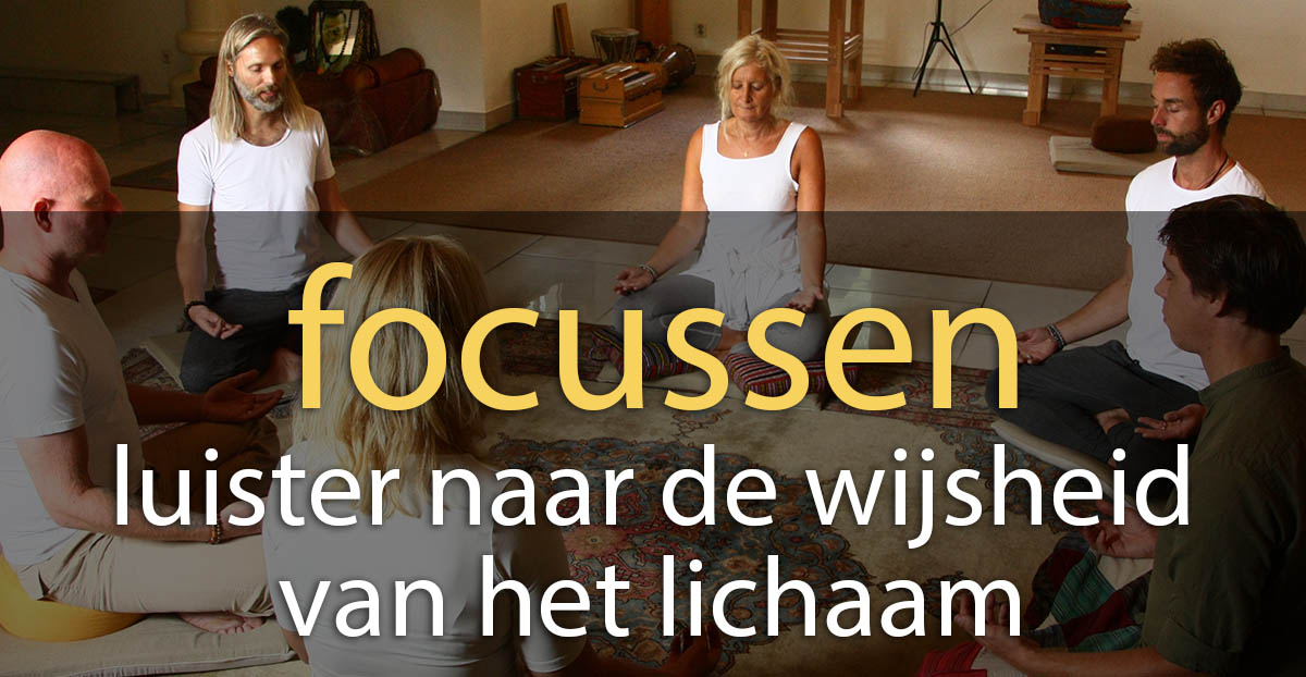 focus therapie