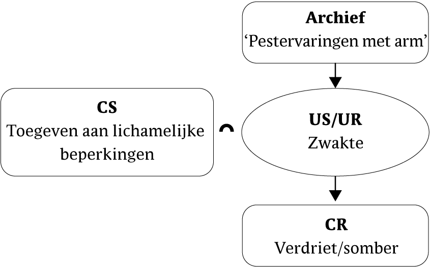 meta cognitieve gedragstherapie