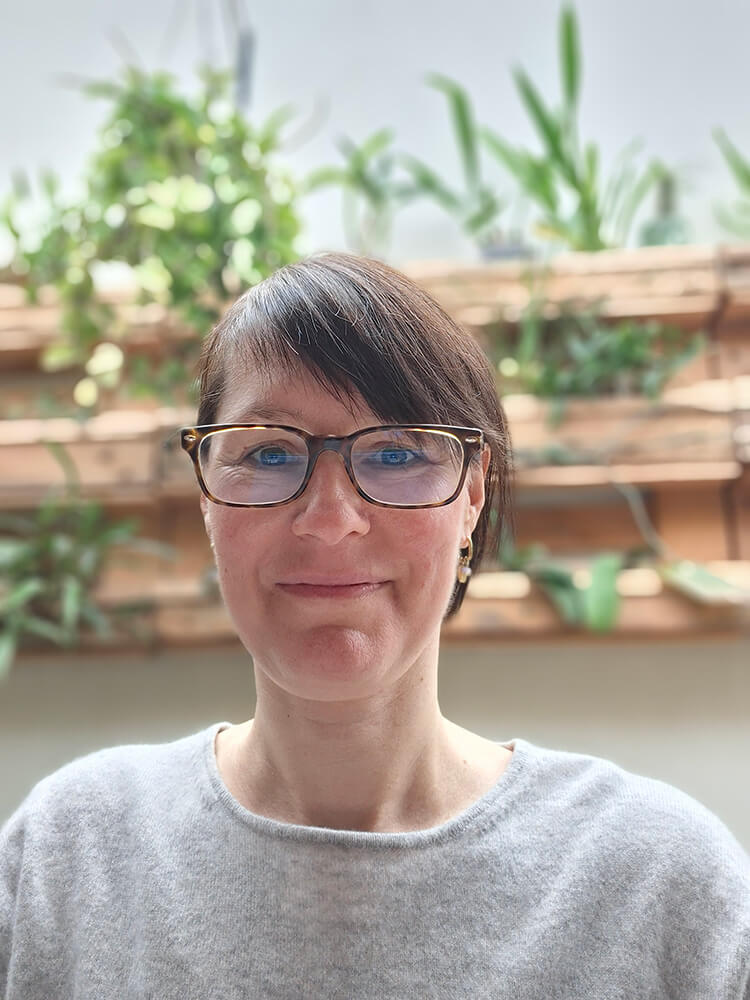 therapie agressiebeheersing