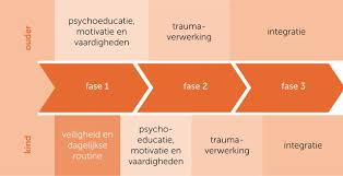 trauma behandeling