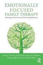 hechtingsgerichte gezinstherapie